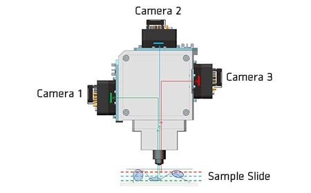 3-Camera Structure