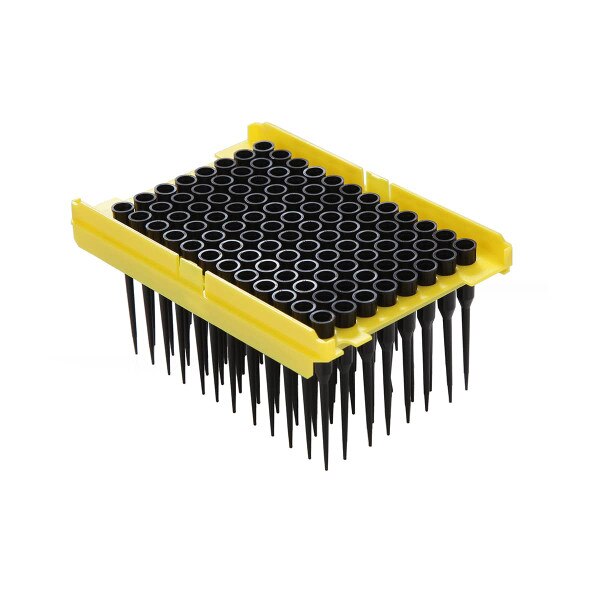 50 uL conductive tips, tray, blister-2 pack | Azer Scientific