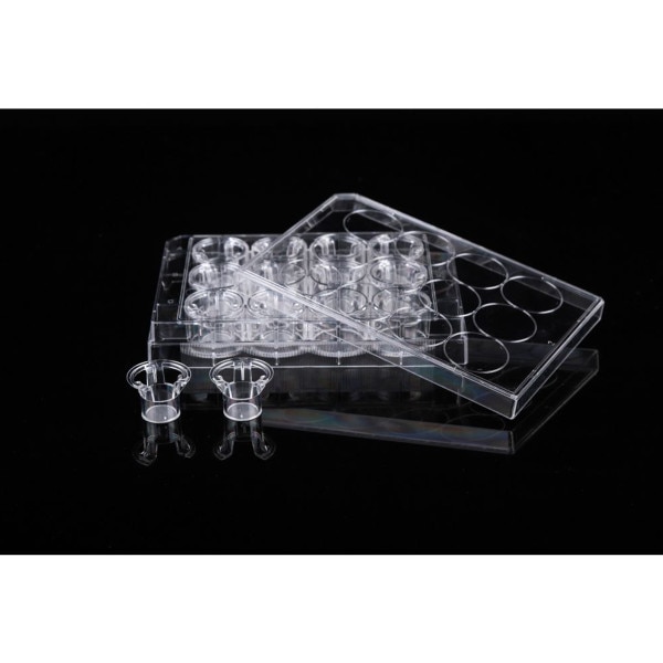 Indirect Cell Insert Permeable cell culture inserts, 12 inserts, 0.4um, PET | Azer Scientific